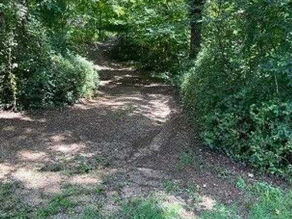 15230 Wright Road , Amelia Courthouse, VA 23002