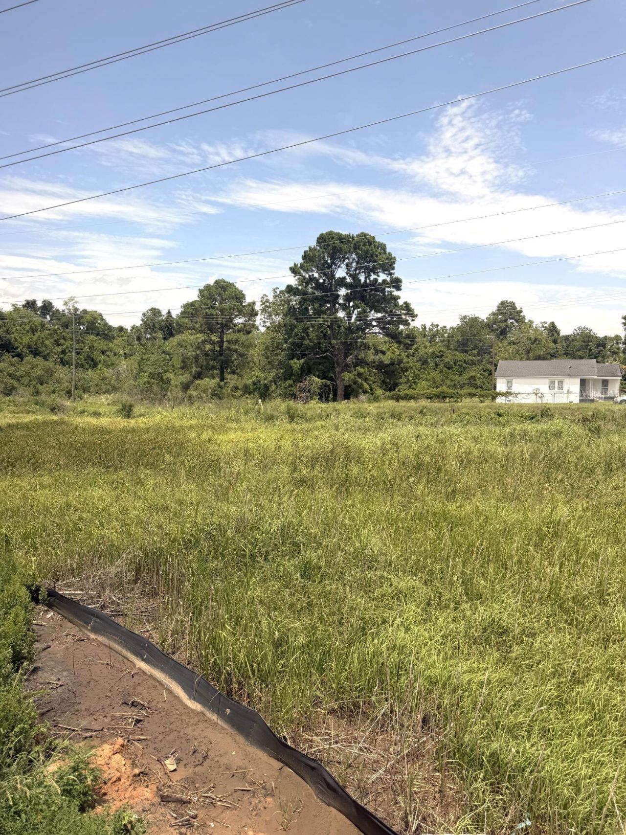 3116 Azalea Drive Photo 5