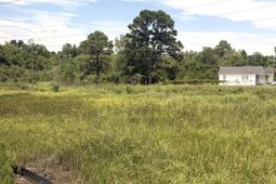 3116 Azalea Drive photo 4