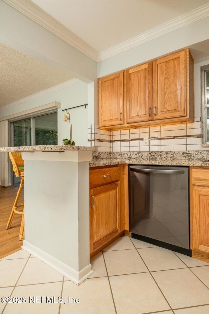 480 Diosa Court, Saint Augustine Shores, FL 32086 Photo