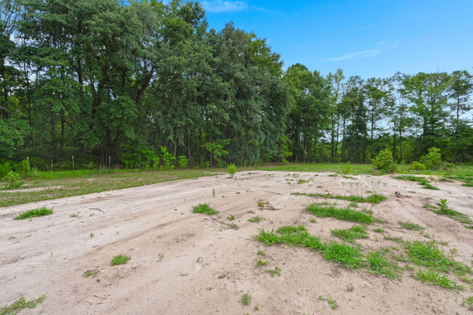 396 Marion Road Photo 26