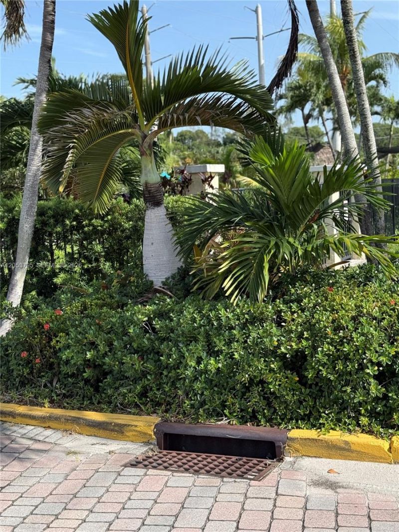 3600 N 56th Ave , Unit 115, Hollywood, FL 33021 Photo