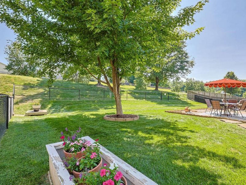 2897 Spring Cove Way, Burlington, KY 41005 Photo 45