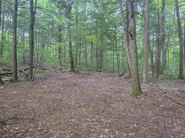 Off Robin Hill Road, Townshend, VT 05359