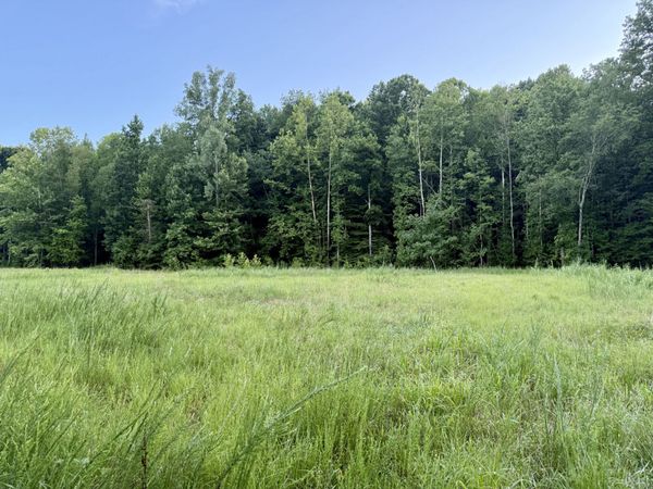 825 Lakestone Rd , Waverly, TN 37185