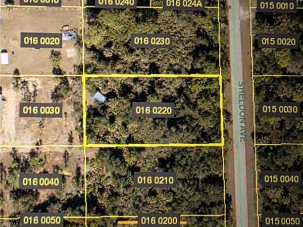 919 Sheldon AVE , LEHIGH ACRES, FL 33936