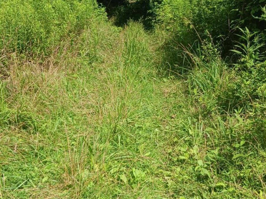 Property Image 26