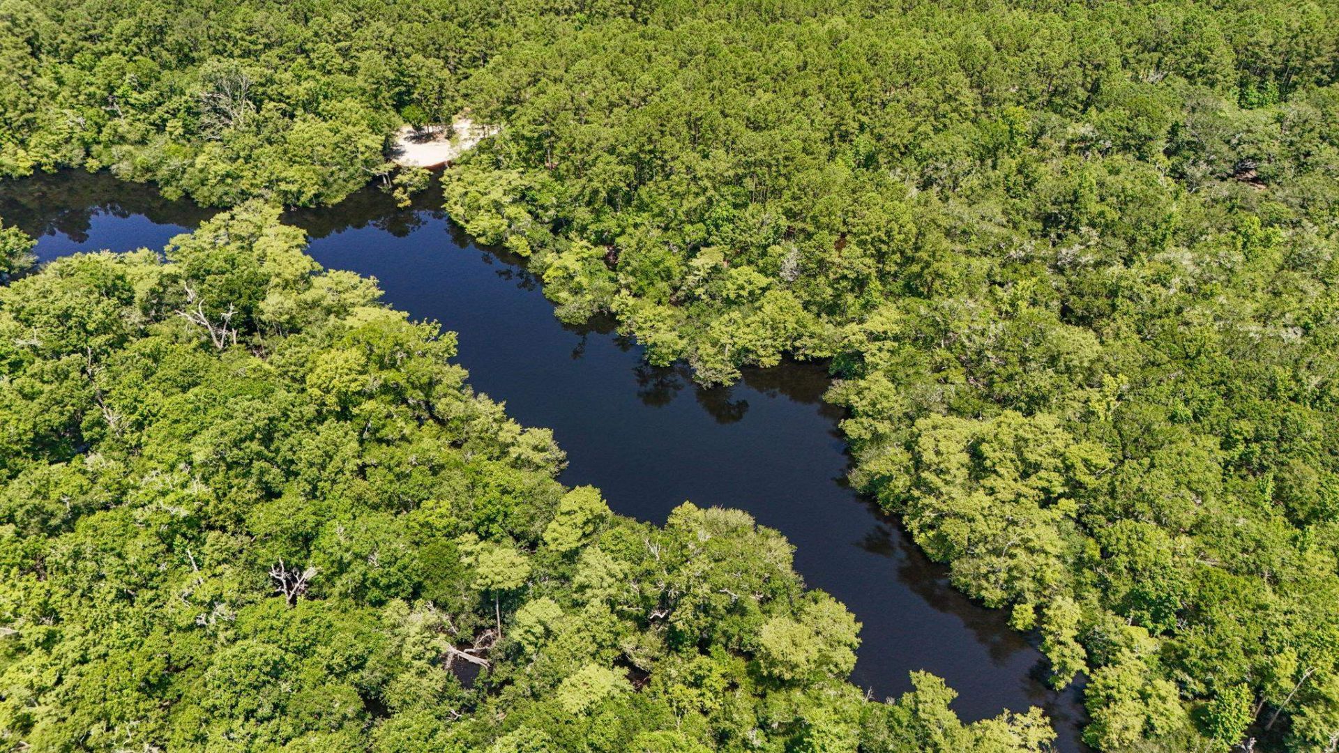 2879 Waccamaw Cove Photo 10