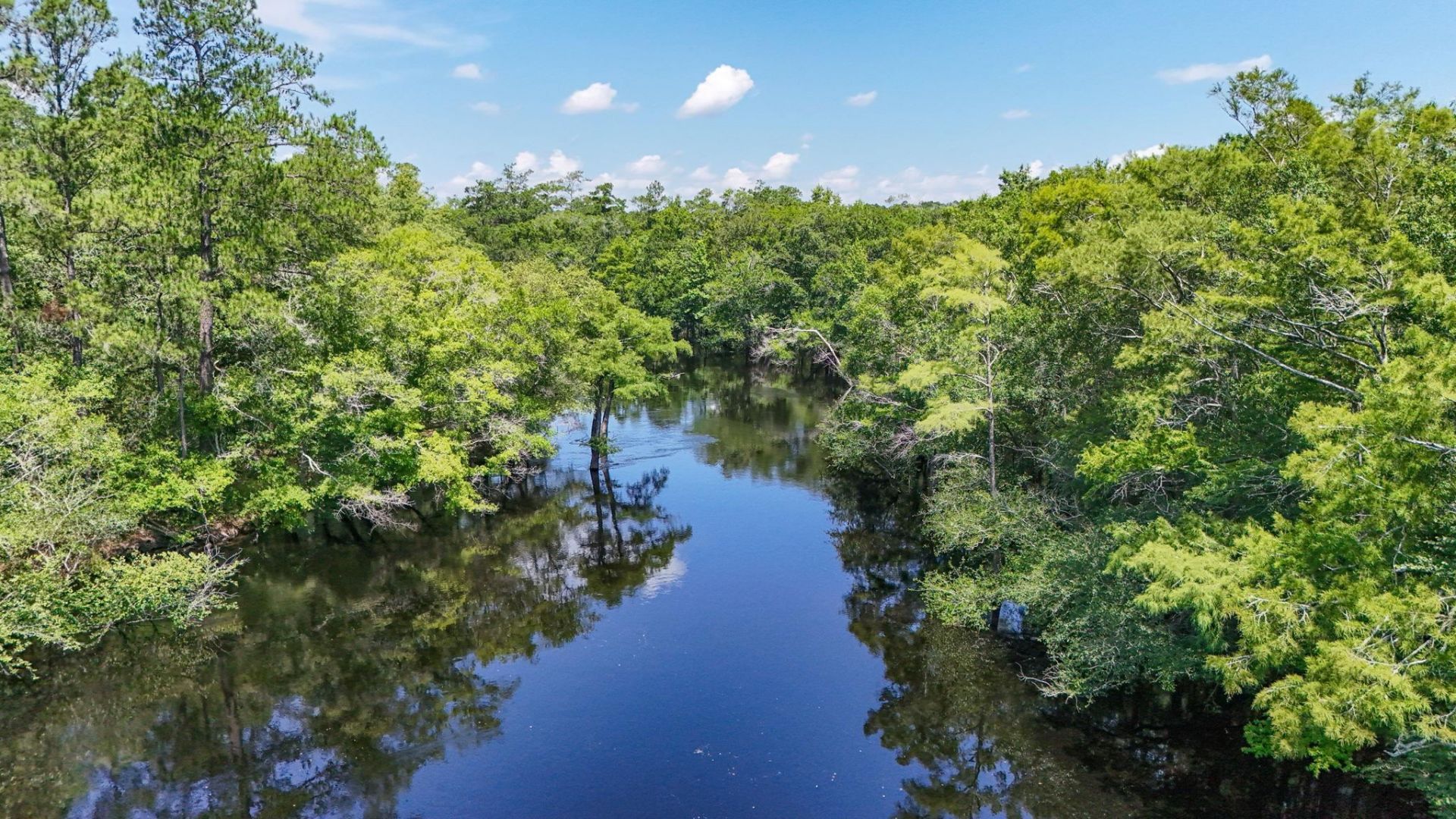 2879 Waccamaw Cove Photo 12