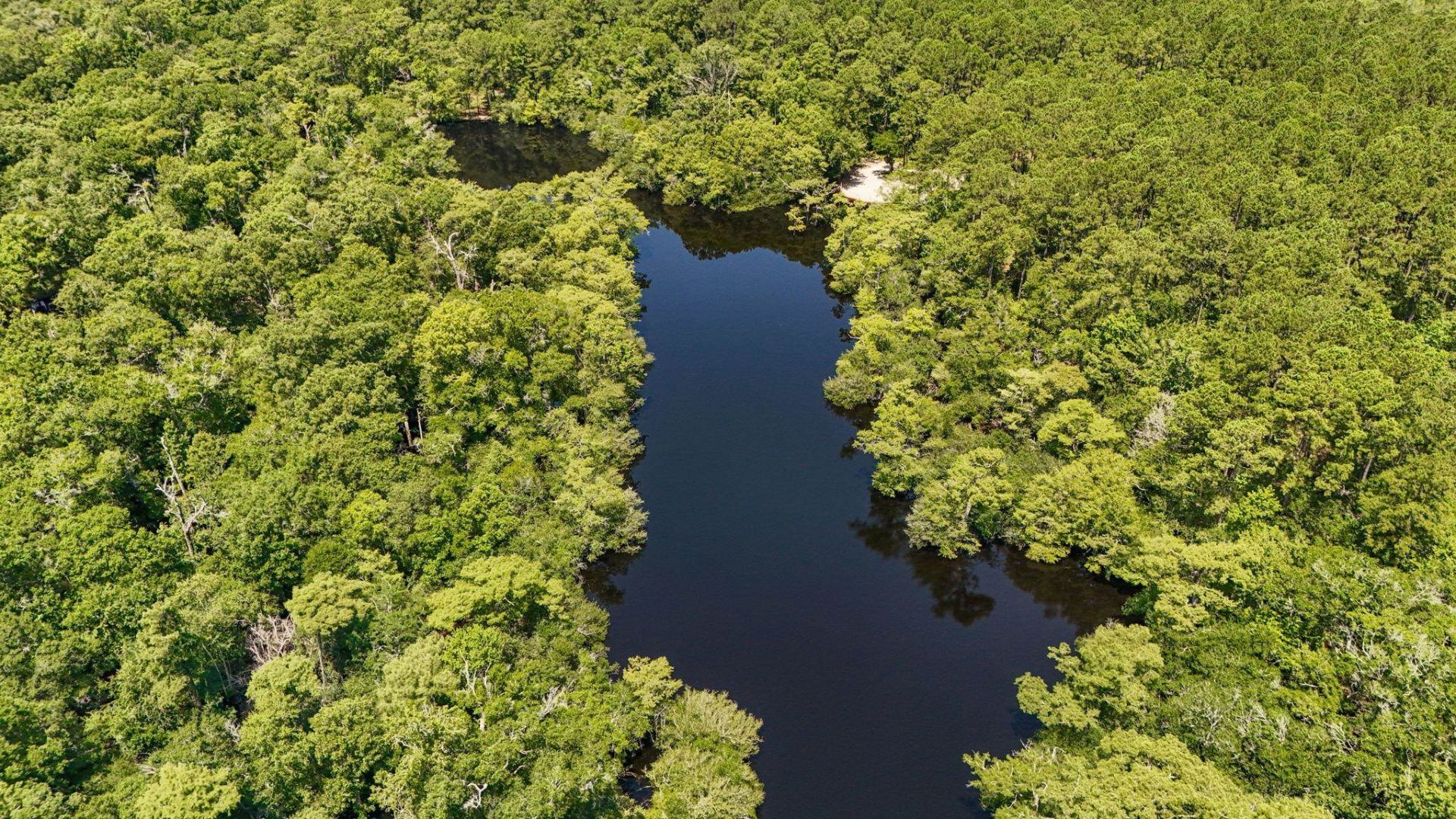 2879 Waccamaw Cove Photo 8