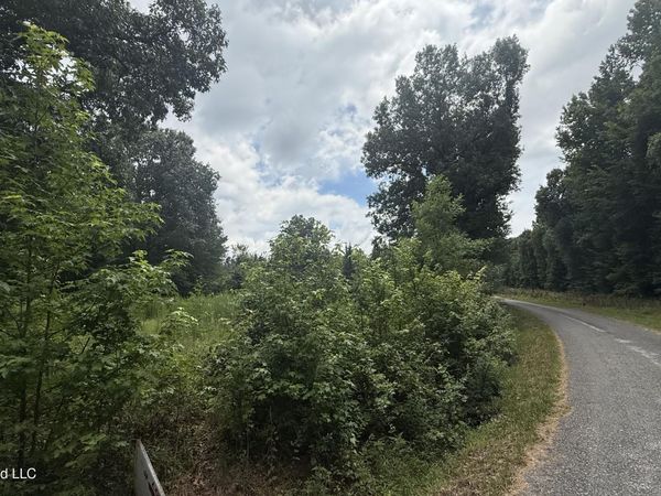 Matthews Drive, Byhalia, MS 38611