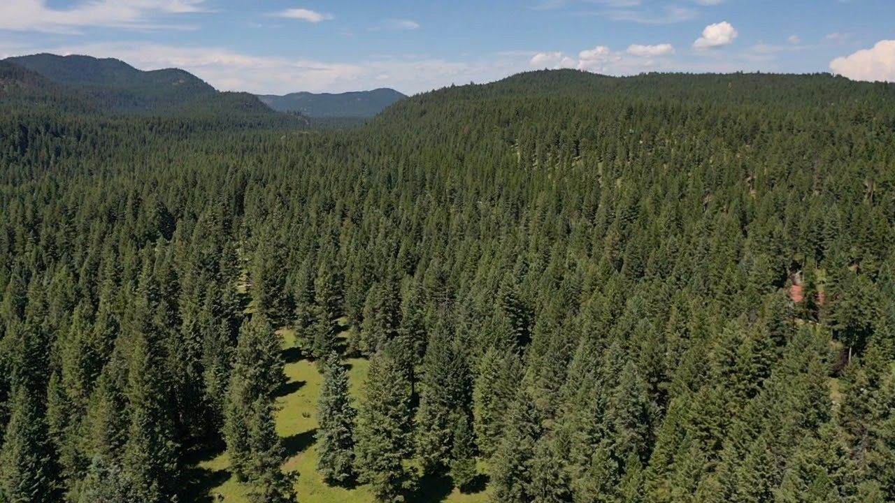 1550 Lost Creek Drive , Kalispell, MT 59901 Main Photo