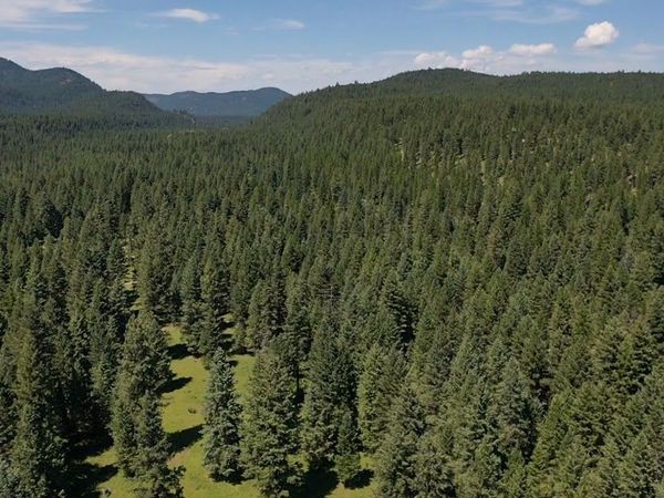 1550 Lost Creek Drive , Kalispell, MT 59901