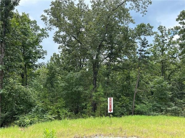 0 Hamilton Road , Chattahoochee Hills, GA 30268