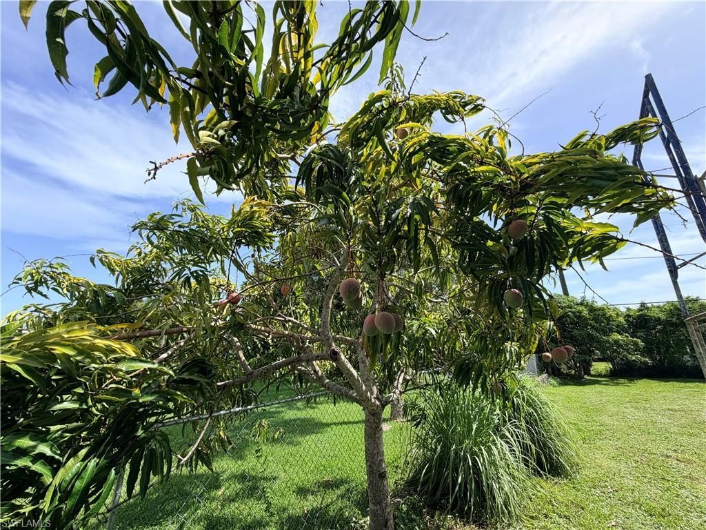 125 4th St, Naples, FL 34113 Photo
