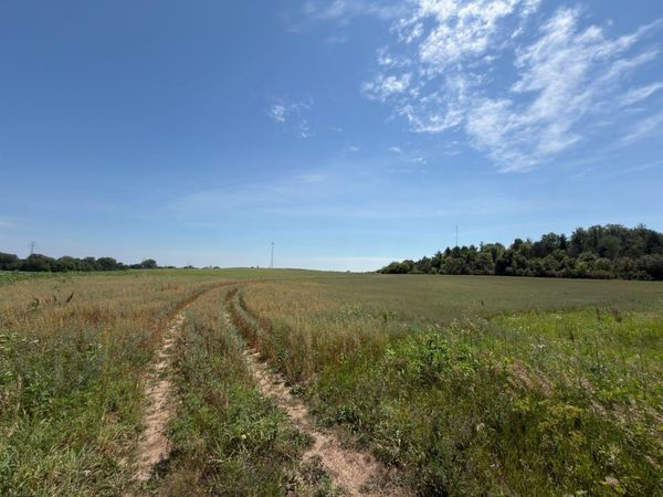 XXXXX MN Highway 15, Dassel, MN 55325