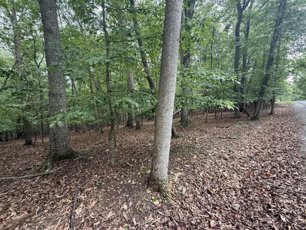 Lot 17 Saunders Point RD , Huddleston, VA 24104