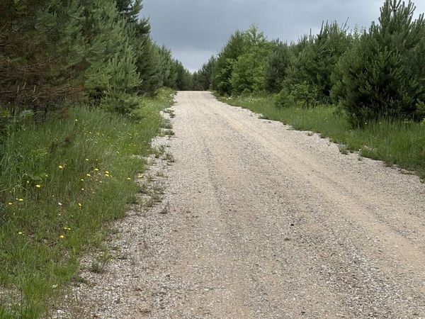 1426 Riley Road SE, Kalkaska, MI 49646