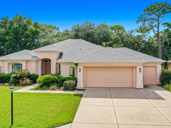 12992 SE 91ST COURT , SUMMERFIELD, FL 34491