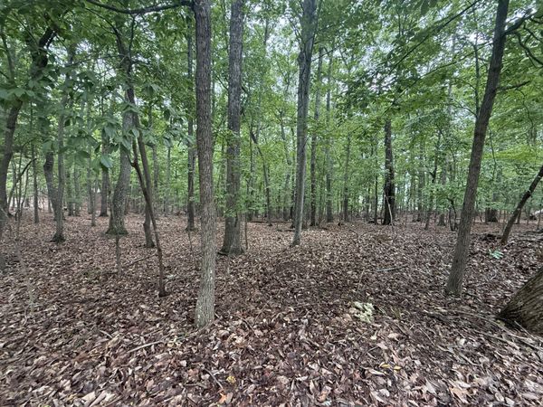 Lot 18 Saunders Point RD , Huddleston, VA 24104