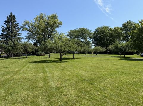 Main Photo