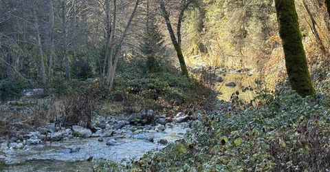 280 Gold Bluff Road, Downieville, CA 00000 Photo