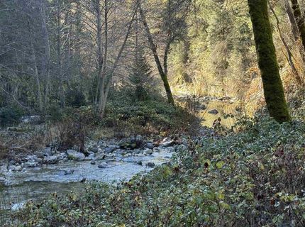 280 Gold Bluff Road, Downieville, CA 00000 Photo