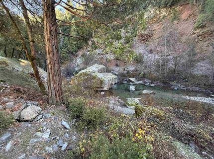280 Gold Bluff Road, Downieville, CA 00000 Photo