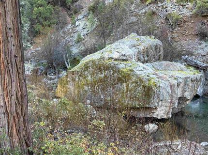 280 Gold Bluff Road, Downieville, CA 00000 Photo