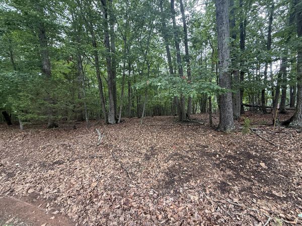 Lot 24 Lee DR , Huddleston, VA 24104
