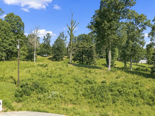 0 Oak pointe Dr , Lexington, TN 38351