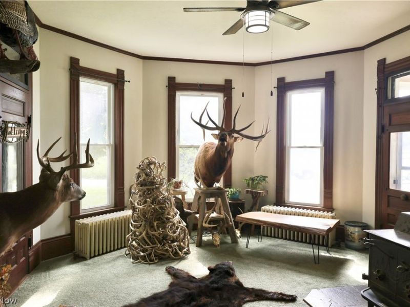 10373 Township Road 54, Killbuck, OH 44637 Photo 18