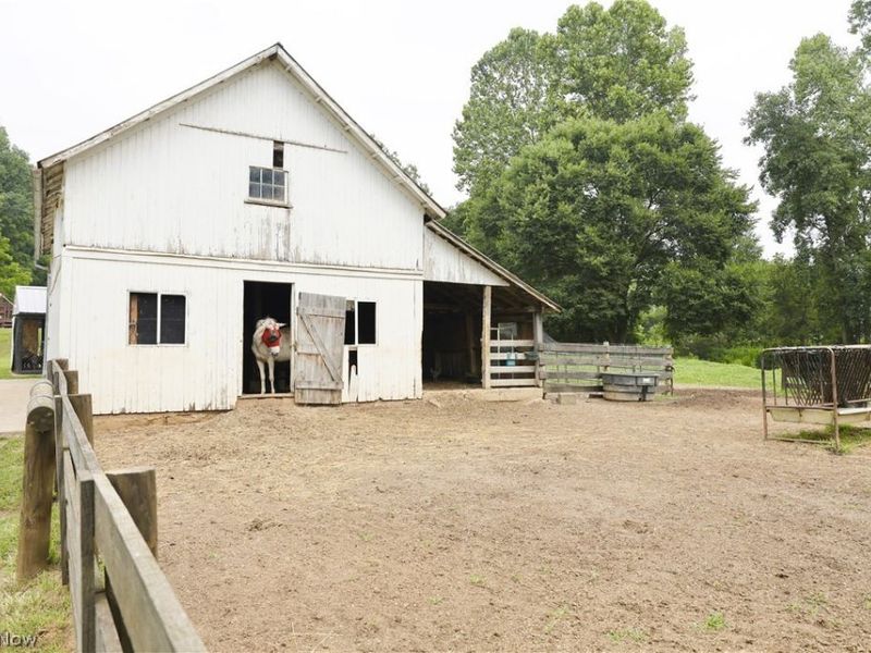 10373 Township Road 54, Killbuck, OH 44637 Photo 9
