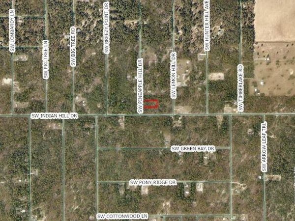 SW PINEAPPLE HILL DRIVE , DUNNELLON, FL 34431