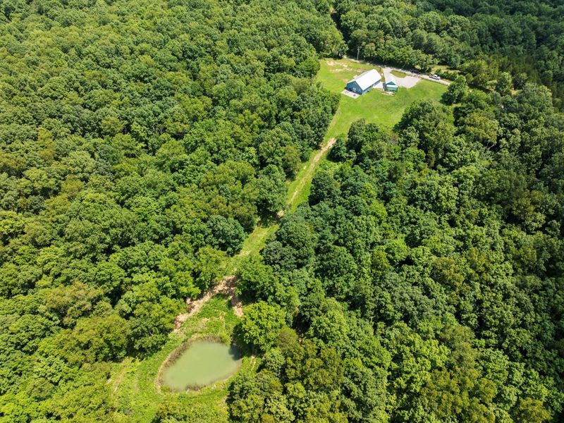 1210 Mountain Island Road, Corinth, KY 41010 Photo 41