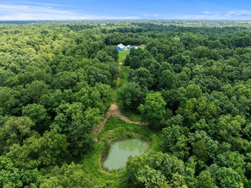 1210 Mountain Island Road, Corinth, KY 41010 Photo 43