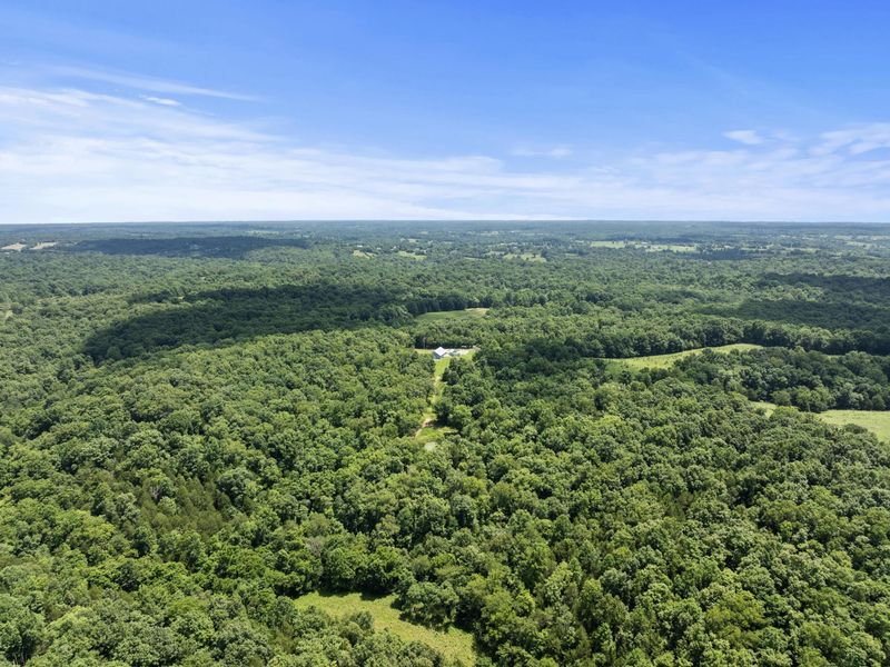 1210 Mountain Island Road, Corinth, KY 41010 Photo 44