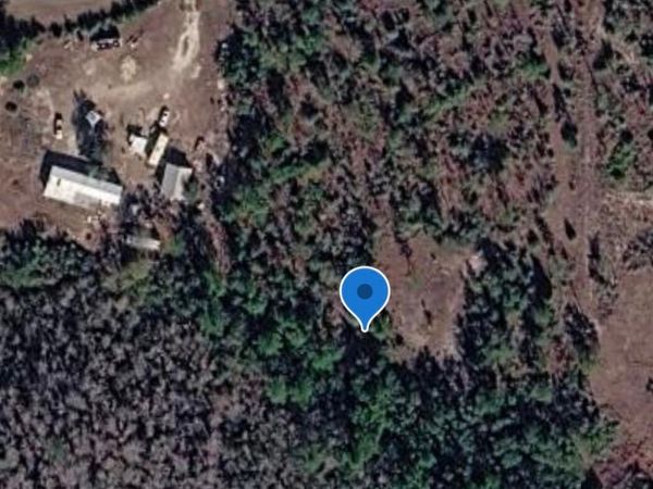 4083 NW Miller Road , Altha, FL 32421