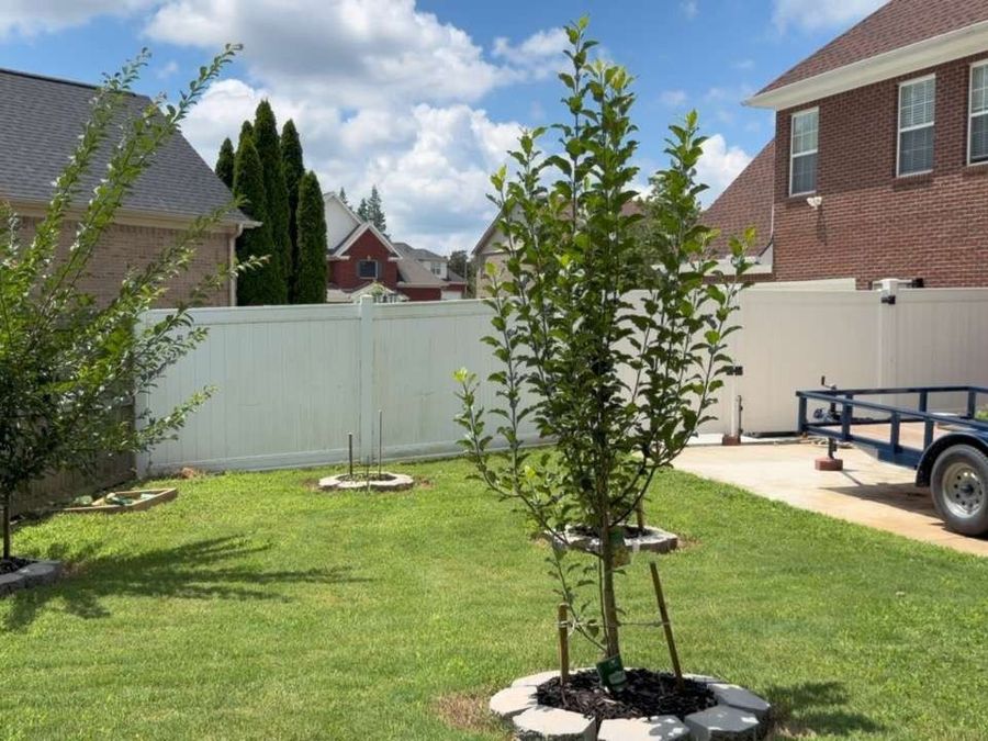 Property Image 63