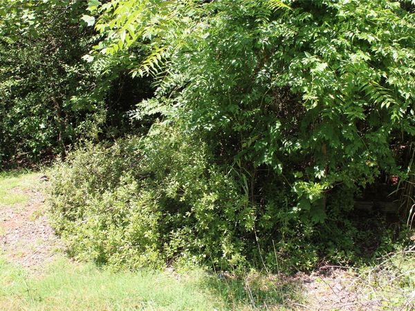 3041 Bills Creek Road , Lake Lure, NC 28746