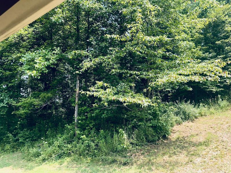 40682 Road Fork Road, Caldwell, OH 43724 Photo 25