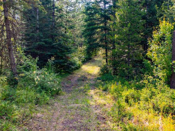 NKA Slate rd Lot 18 Rd, Newport, WA 99156