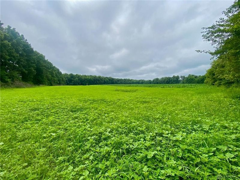 12 ac Ward-Koebel Road, Oregonia, OH 45054 Photo 8