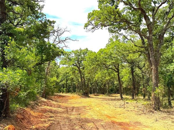 TBD Turpin Lake Road , Poolville, TX 76487