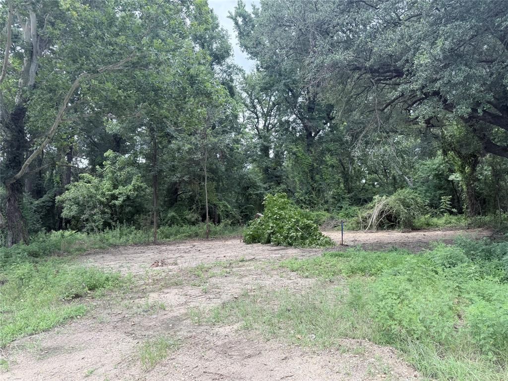 601 W Marshall Street, Minden, LA 71055 Main Photo