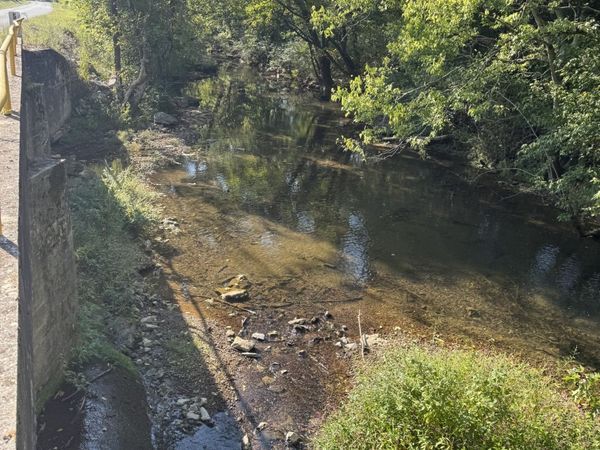 0 Cheatham Springs Road , Wartrace, TN 37183