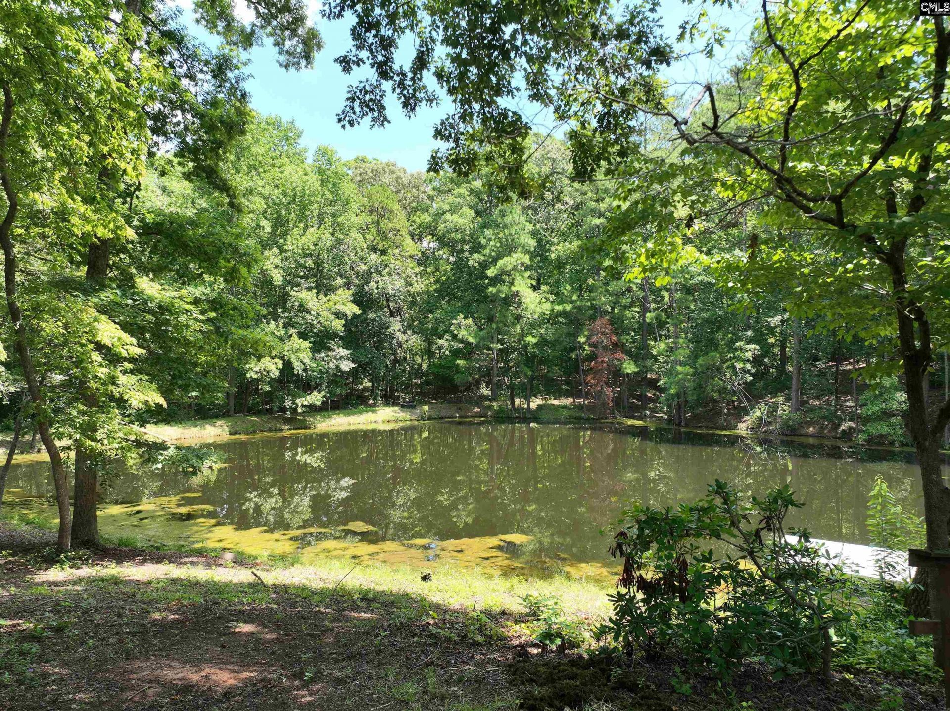 130 Pinewood Drive  Photo 55