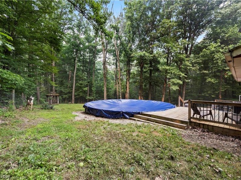 2124 Hinckley Hills Road, Hinckley, OH 44233 Photo 39
