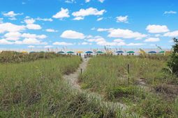 5200 N Ocean Blvd.  photo 4