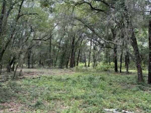 607 COUSINTOWN RD Road, Interlachen, FL 32148